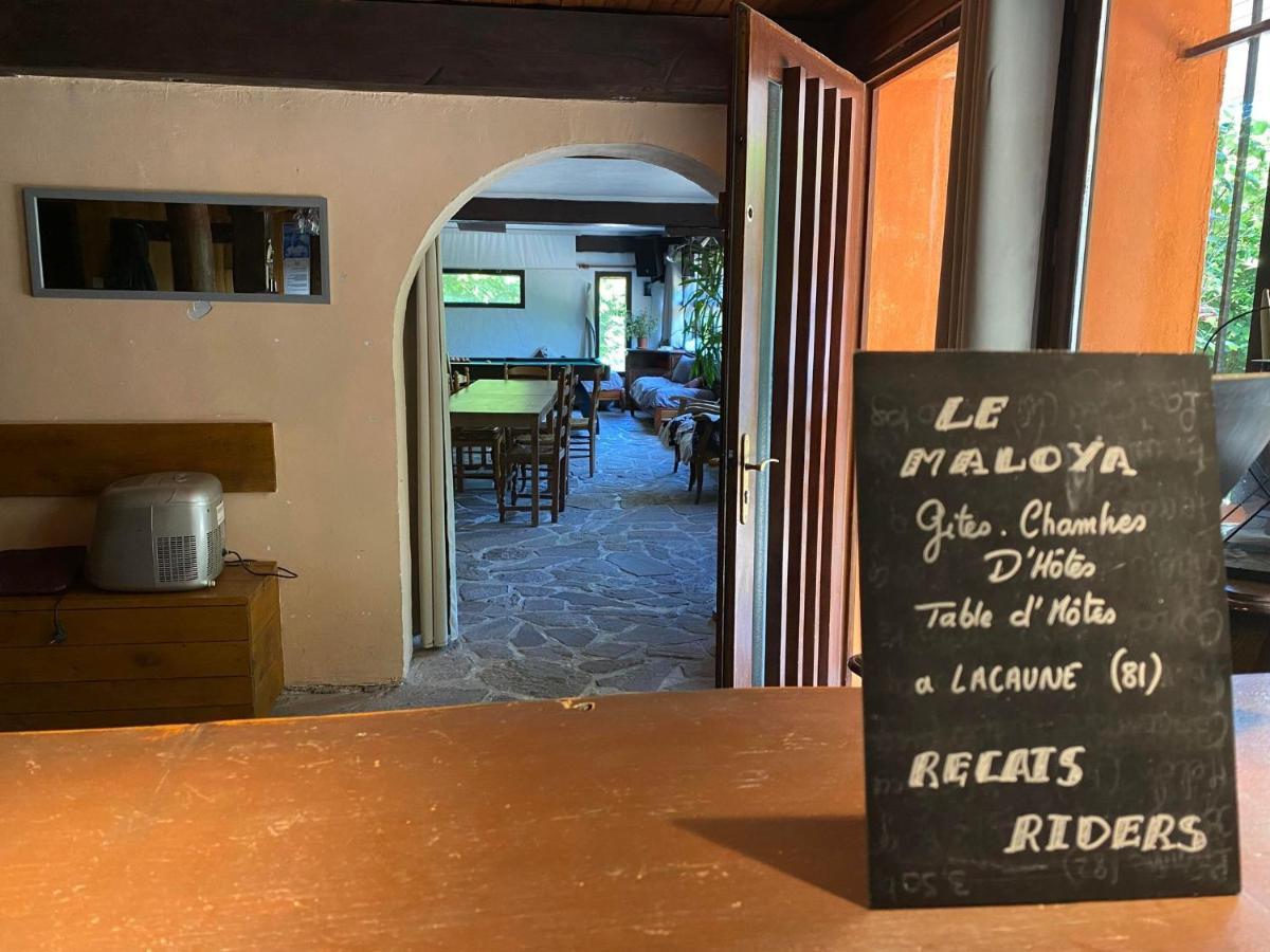 "Le Maloya" Chalets Independants -Chambre Balneo - Relais Motards Lacaune Luaran gambar