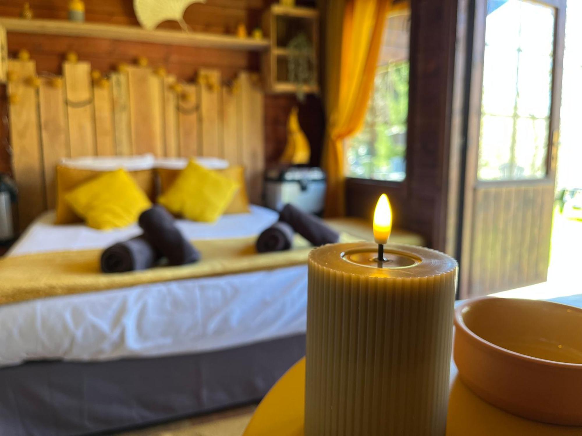 "Le Maloya" Chalets Independants -Chambre Balneo - Relais Motards Lacaune Luaran gambar